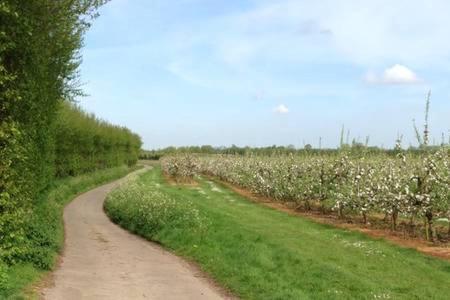 Church Farm B&B Suffolk Great Whelnetham ภายนอก รูปภาพ