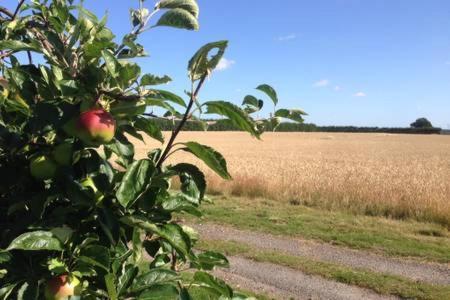 Church Farm B&B Suffolk Great Whelnetham ภายนอก รูปภาพ